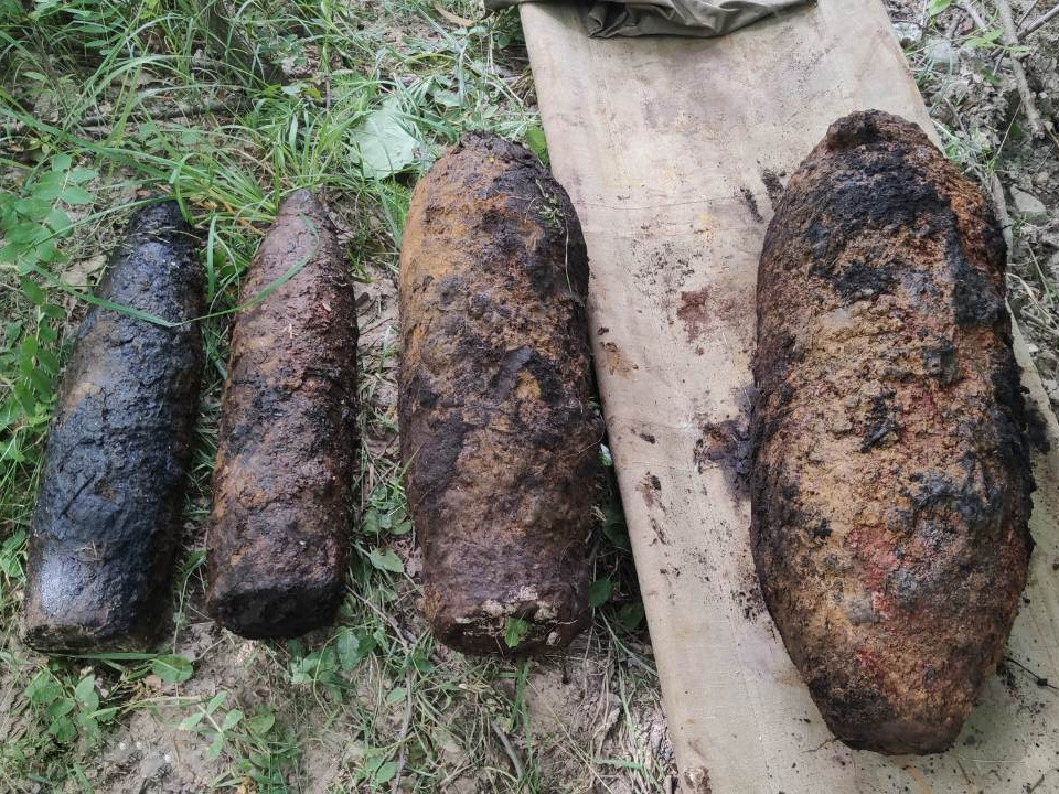 Лісове.jpg