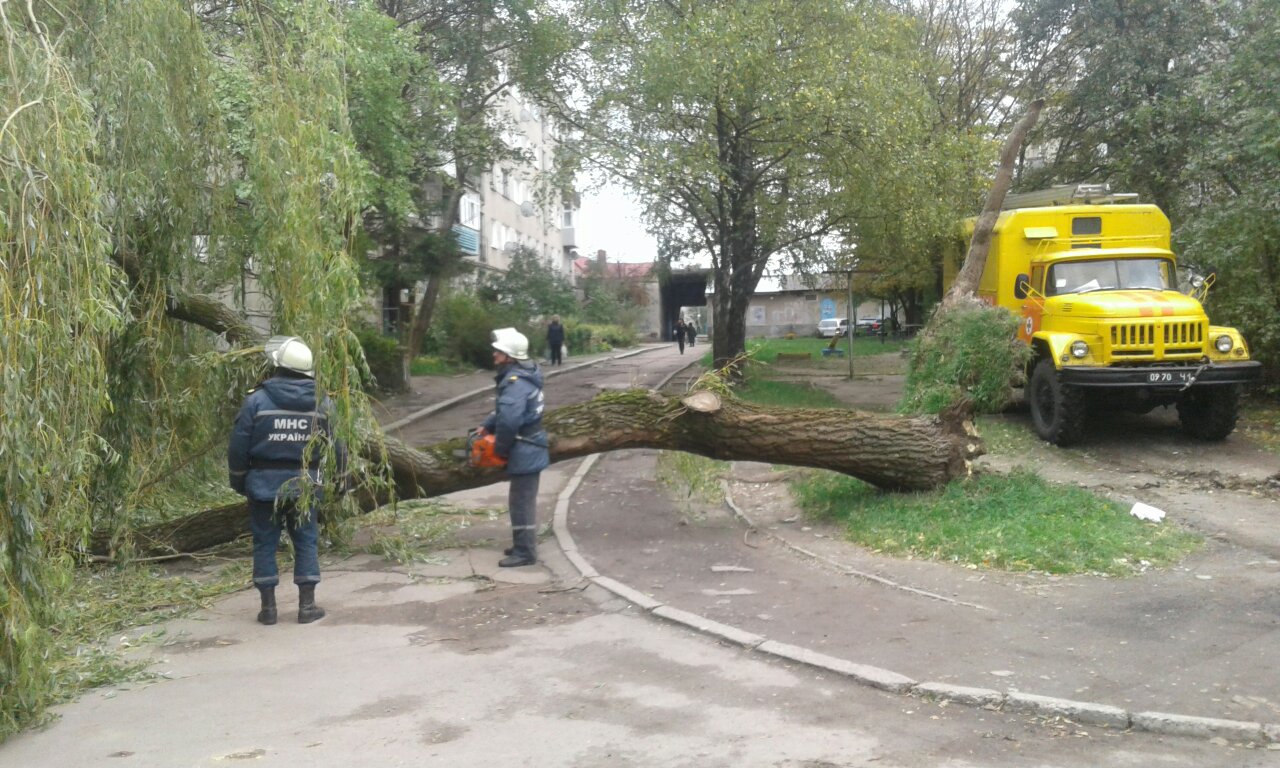 viber image.jpg