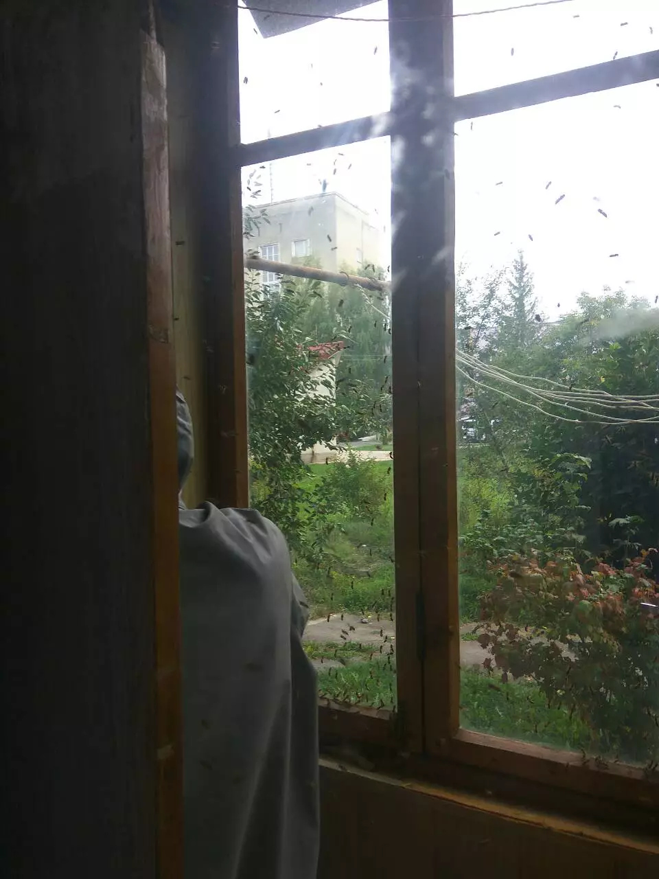 2018-9-4-1.jpg
