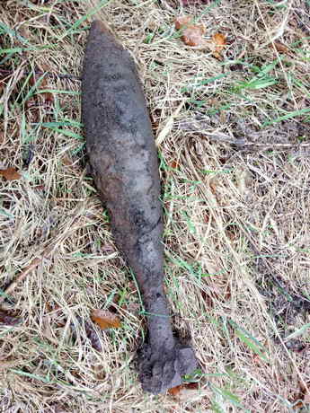 Лопушна.jpg