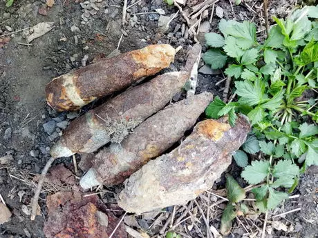 2019-4-24-cervonograd.jpg