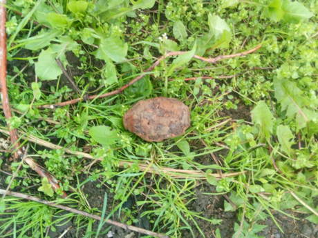 Image00002.jpg