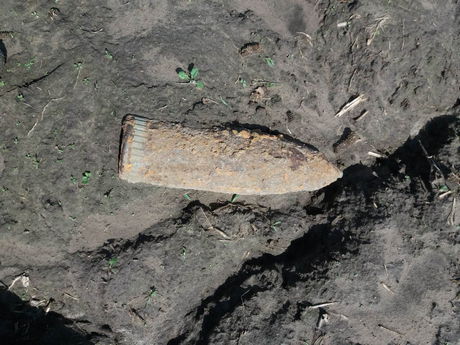 Батьків.jpg