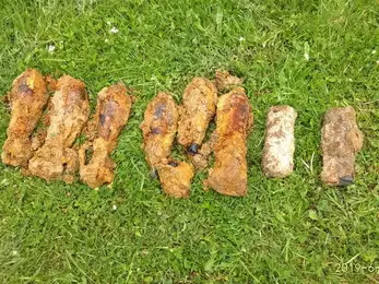 2019-6-3-1-cr.jpg