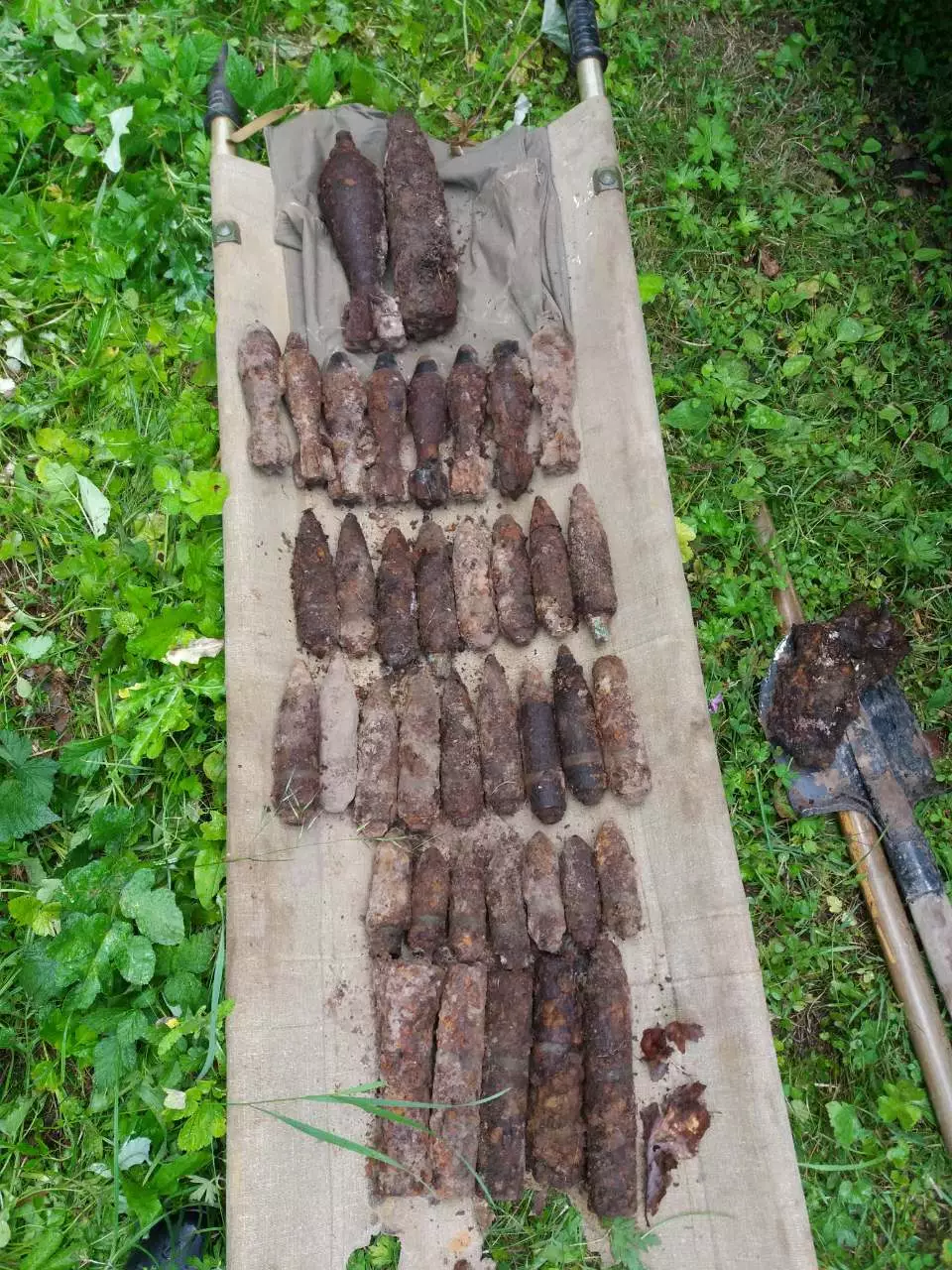 2019-8-14-zobrazennia-viber-2019-08-09-09-41-56.jpg