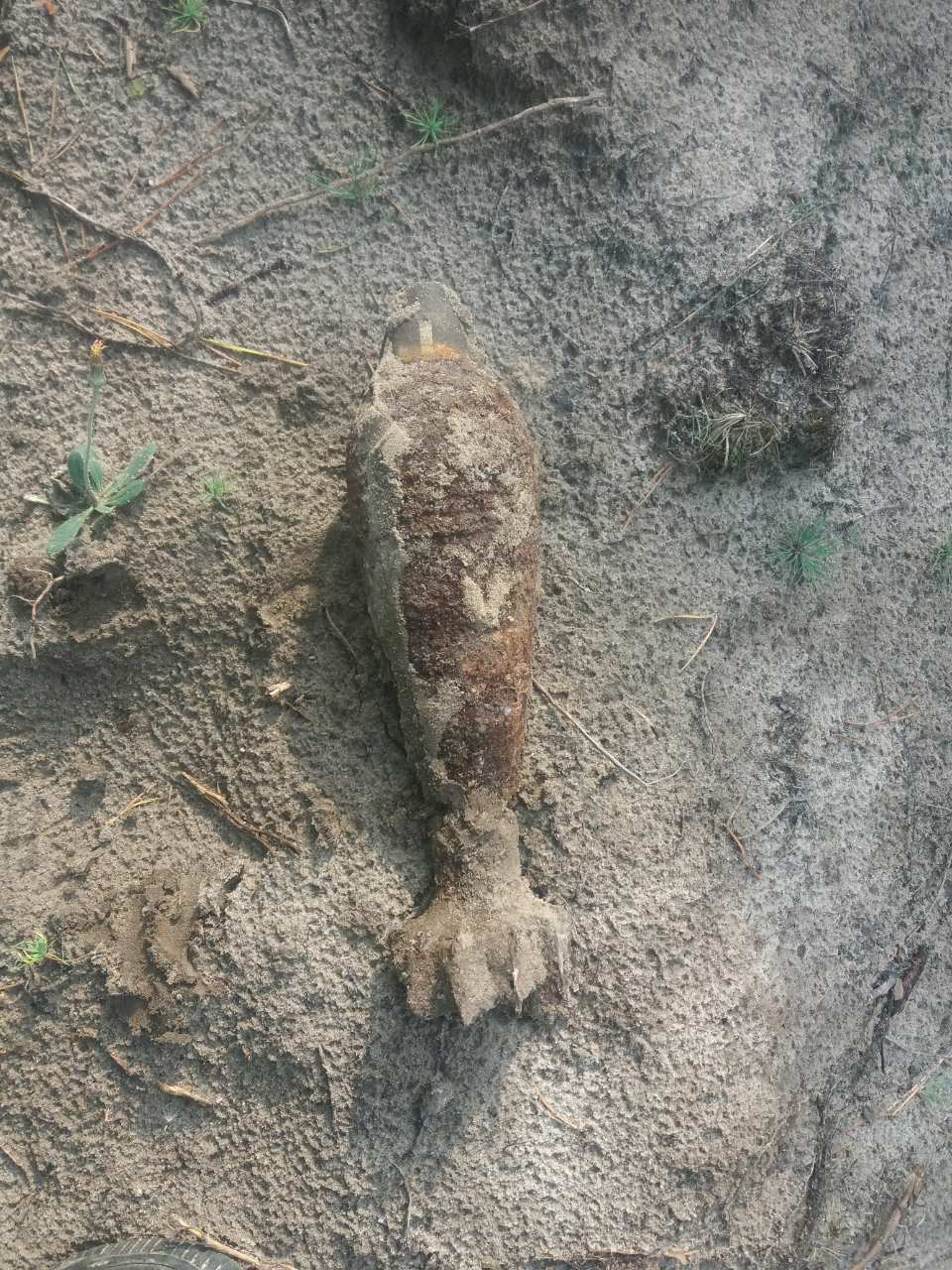 зображення_viber_2019-08-09_09-45-30.jpg