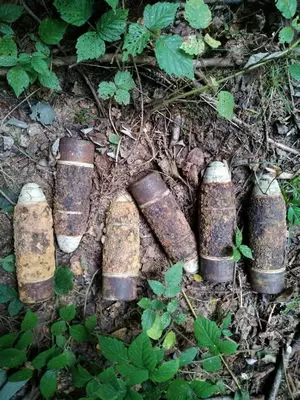 2019-9-16-niznje.jpg