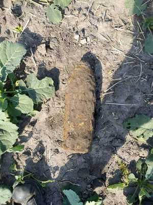 Піски.jpg