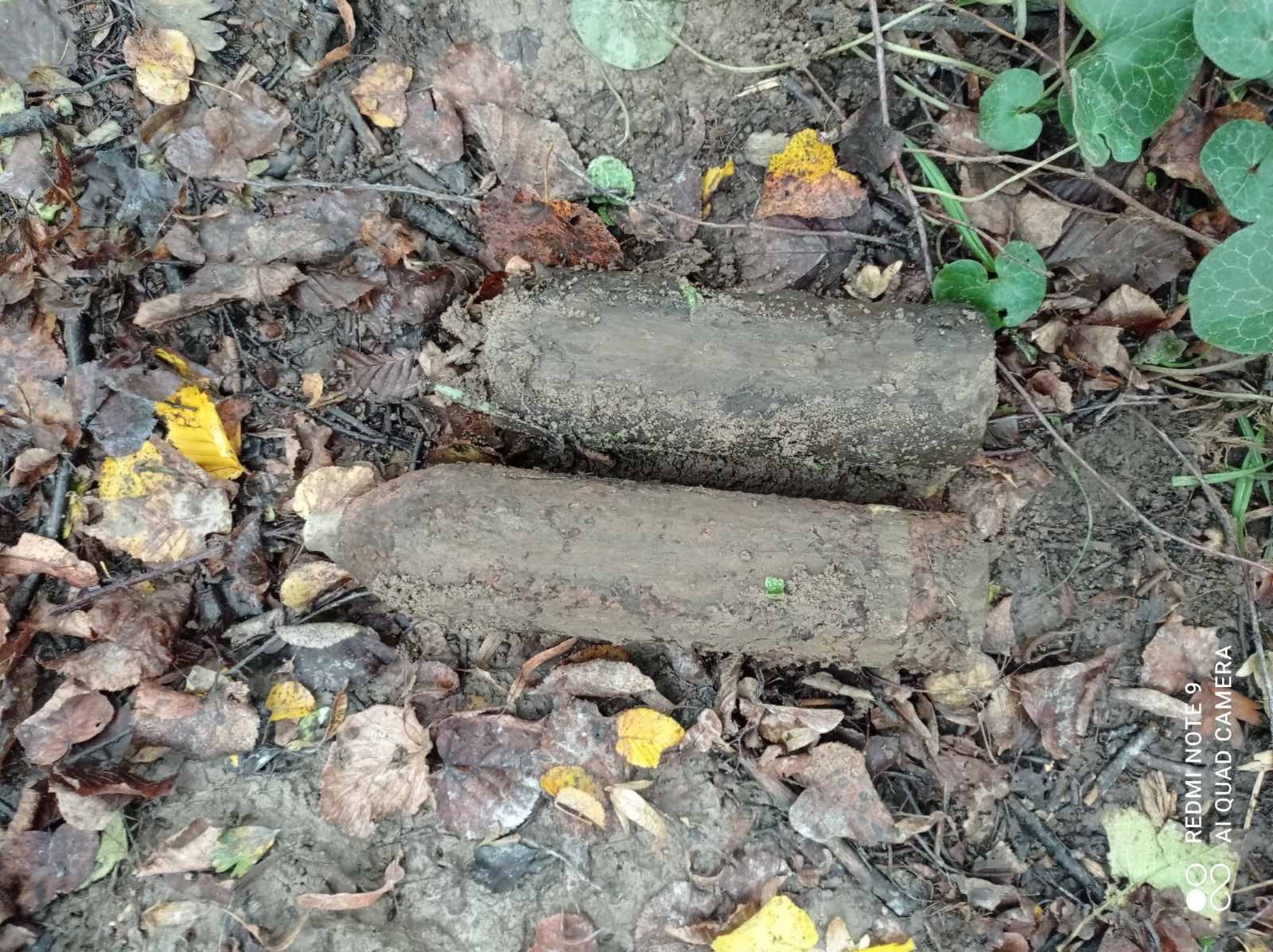 изображение_viber_2020-10-19_08-44-50.jpg