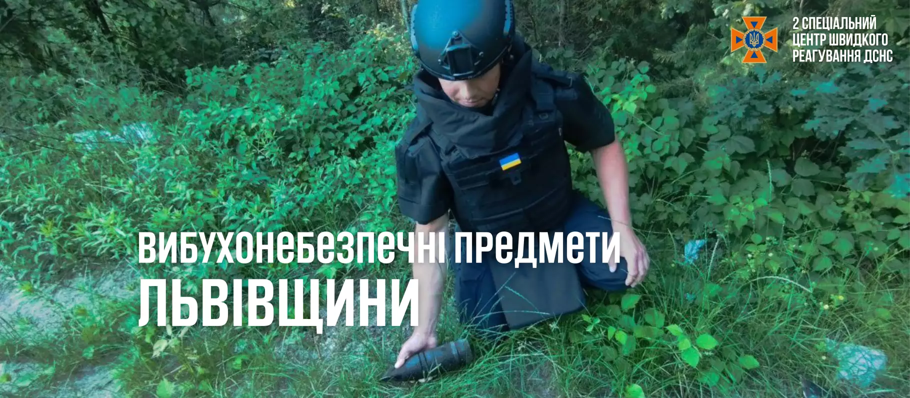 img-7781.PNG