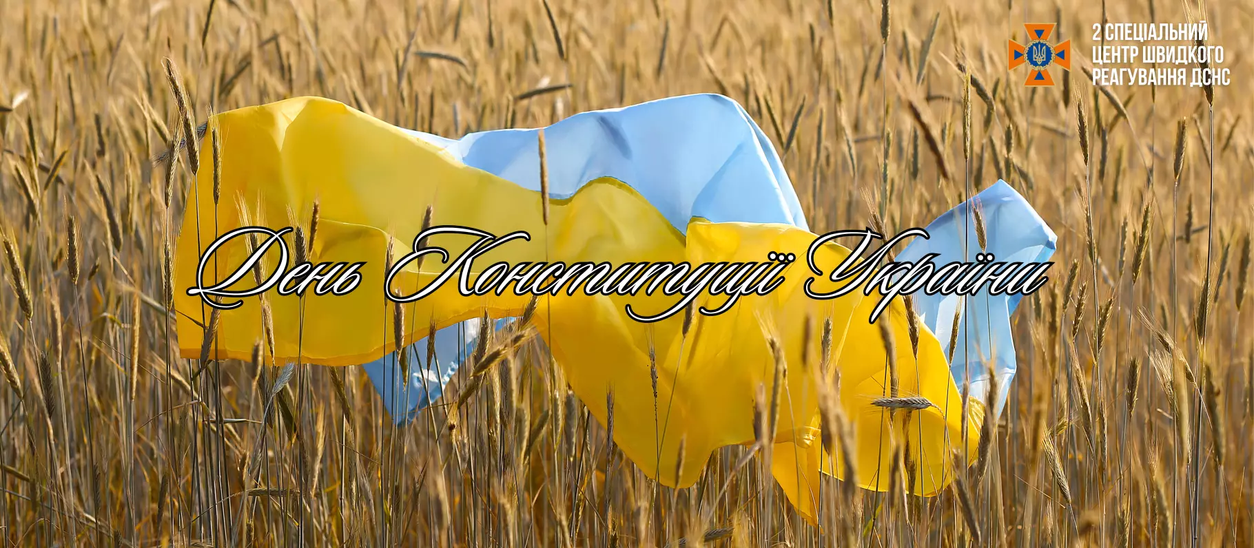 img-8284.PNG