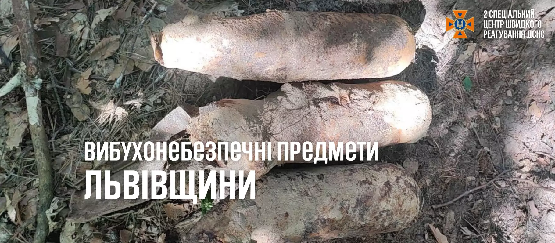 img-8313.PNG