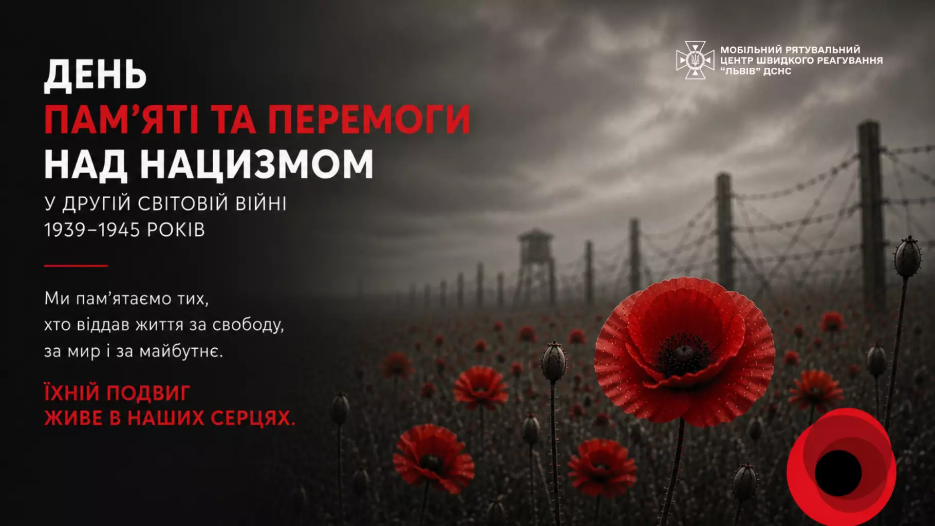 previu-56.png