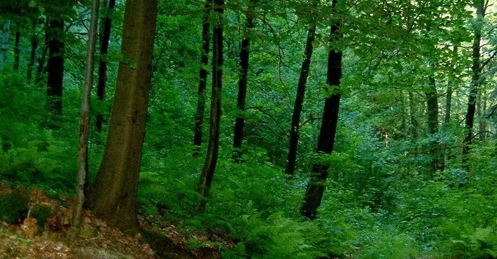 finansovo-gospodarska-1.jpg